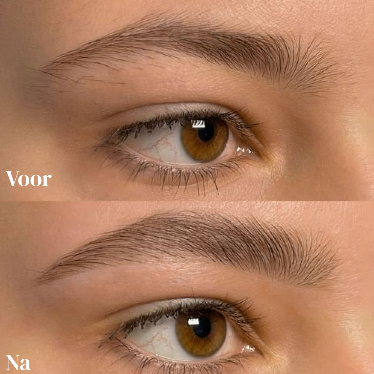 Brow Growth Duo
