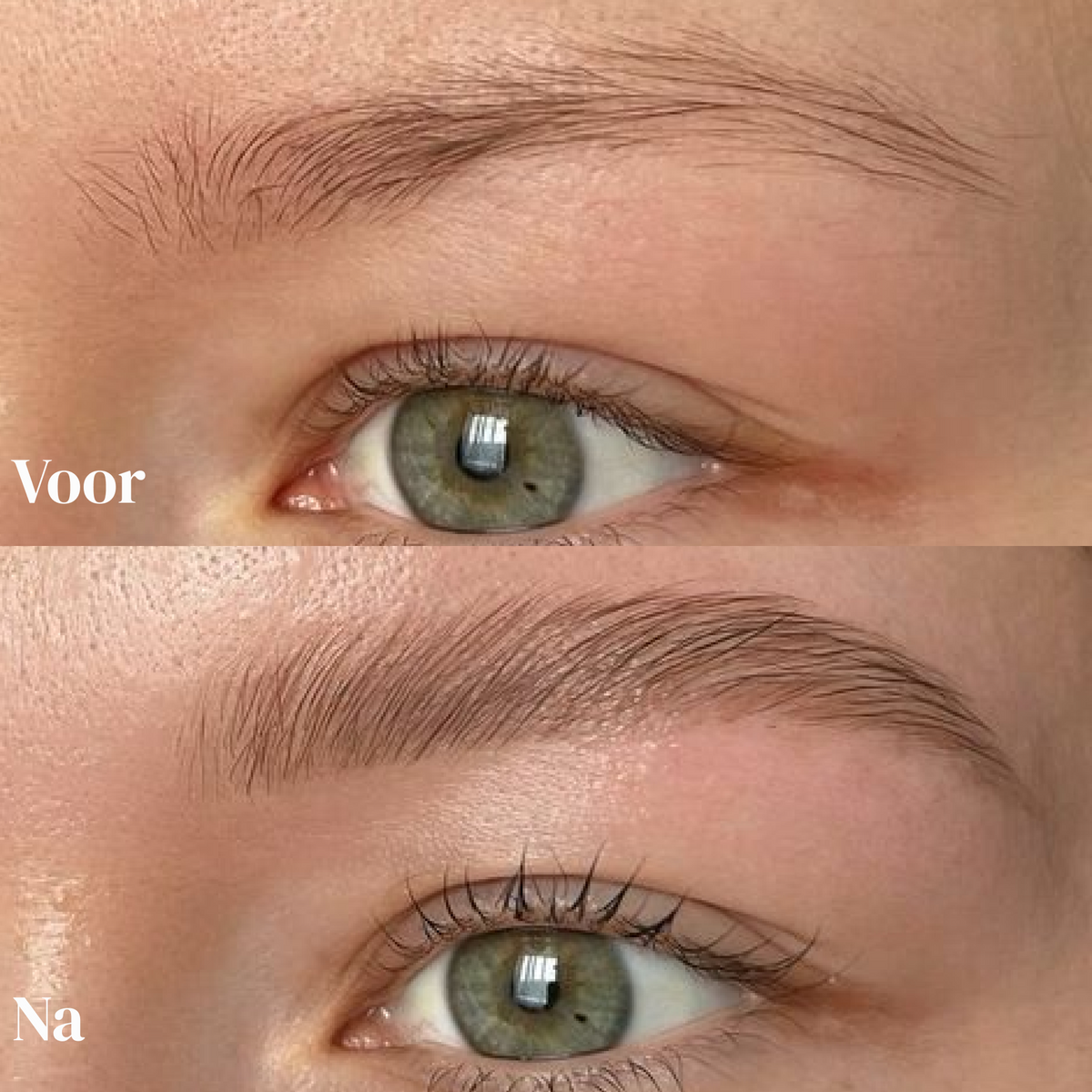Brow Growth Duo