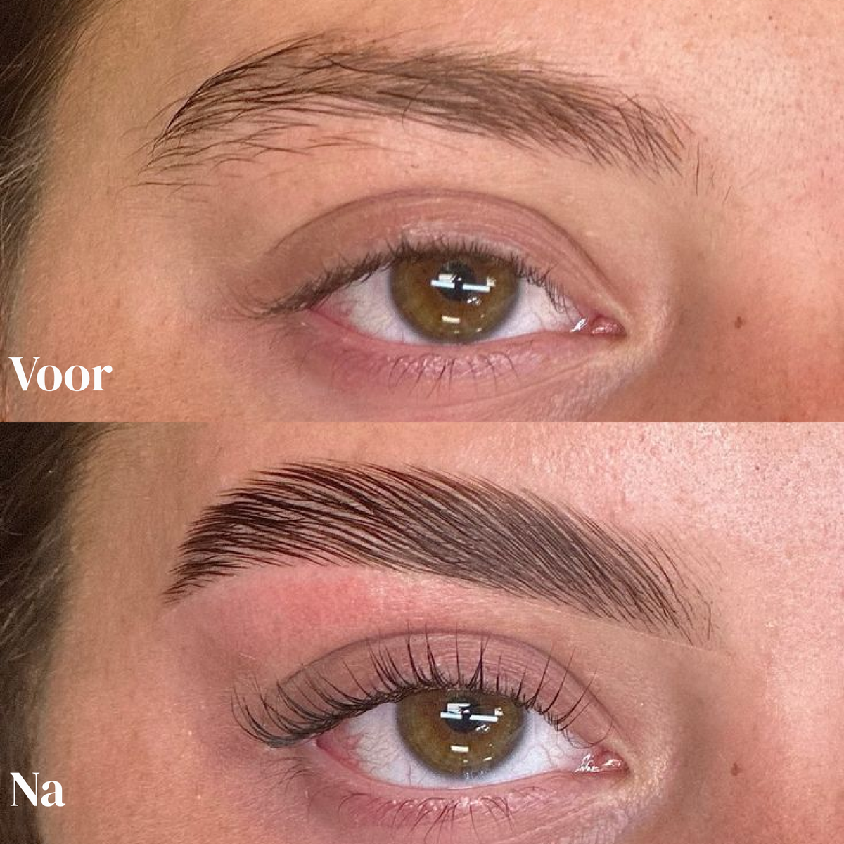 Brow Growth Duo