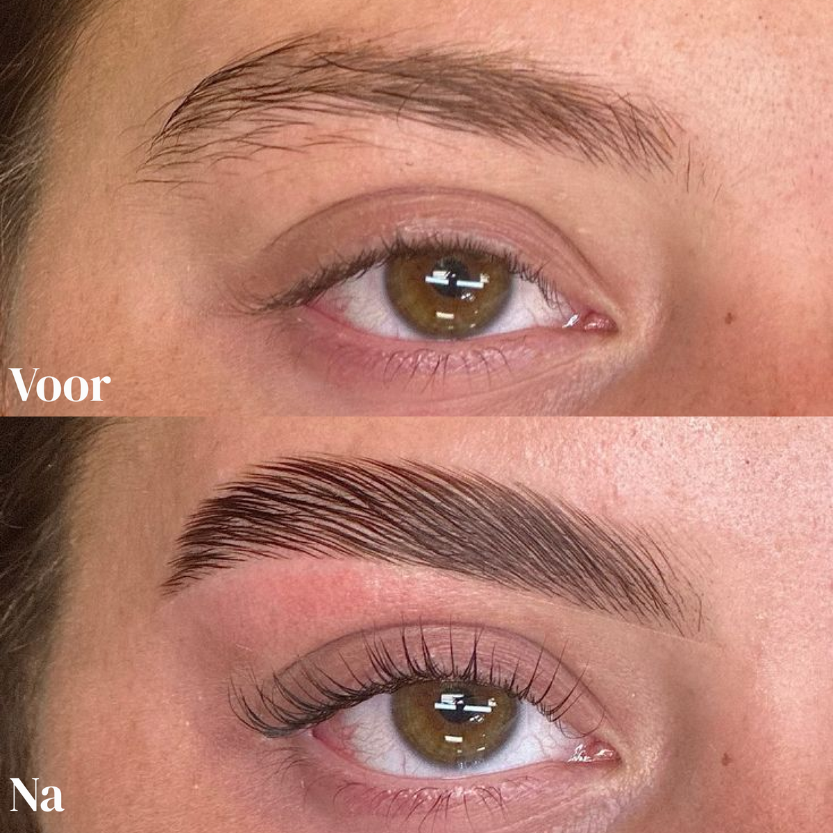 Marr's Favorites